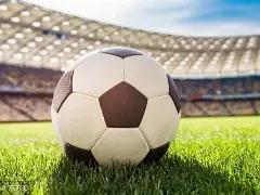 孙杨身材数,据公开,体能测试不,美高梅(MGM)最新官方网站,美高梅,(1888-MGM认证),美高梅mgm1888,美高梅mgm最新登录入口