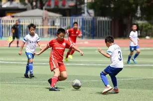 孙杨身材数,据公开,体能测试不,美高梅(MGM)最新官方网站,美高梅,(1888-MGM认证),美高梅mgm1888,美高梅mgm最新登录入口