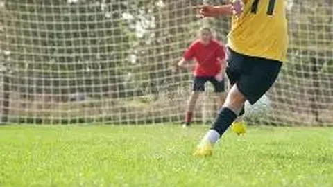 国旗映衬中央山脉美景